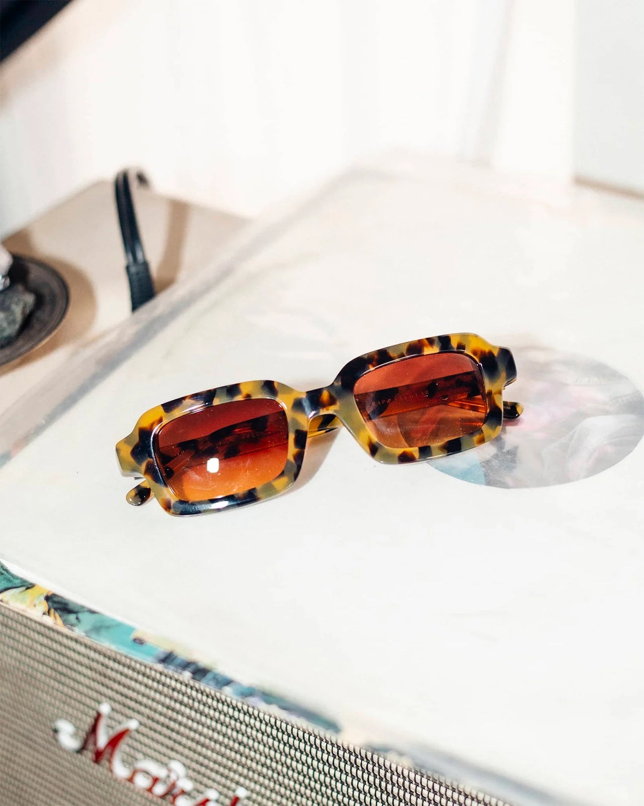 The Lucid Blur / Leopard Tortoise